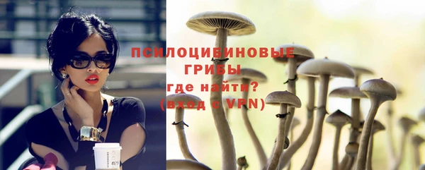 сатива Армянск