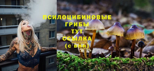 круглые Алзамай