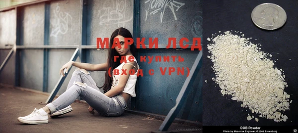 хмурый Алексин