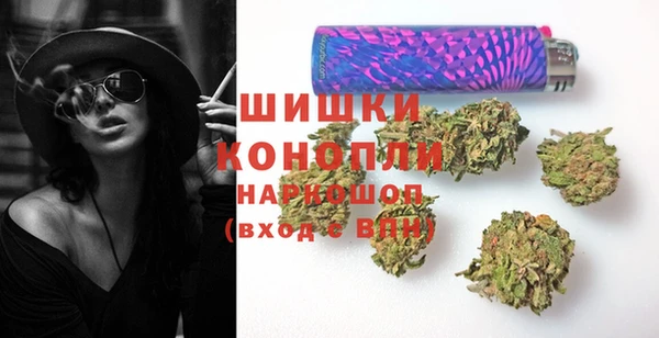 винт Пересвет